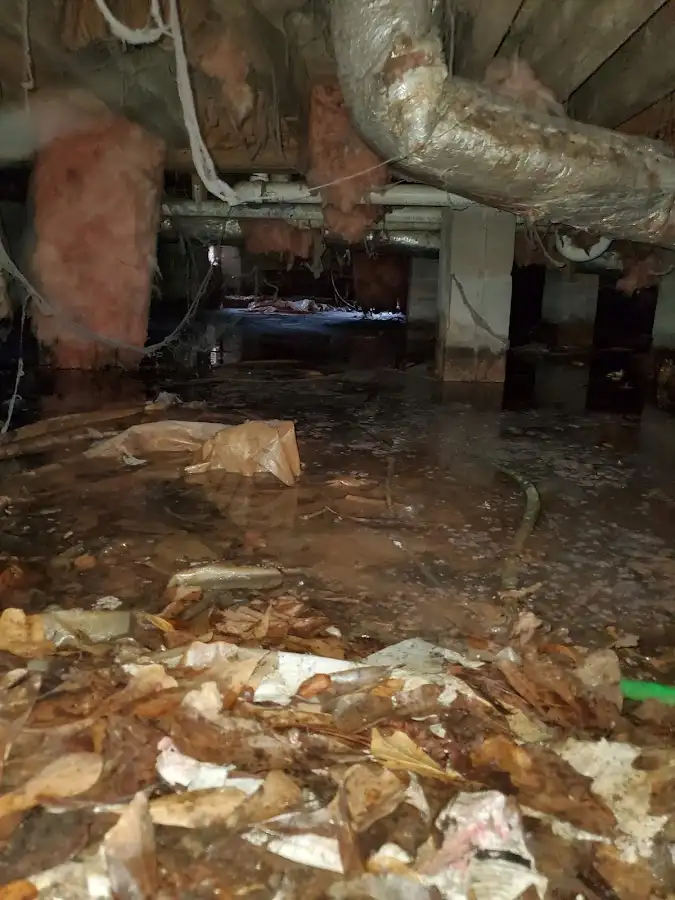Crawl space flood assessment for Leak Detection & Repair in Castroville